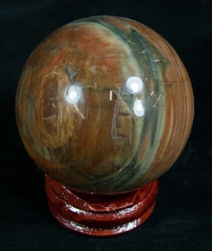 Colorful Petrified Wood Sphere #8566